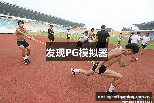 发现PG模拟器